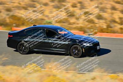 media/Nov-16-2024-Extreme Speed (Sat) [[6587d07cc4]]/Orange Group/Session 3 (The Bowl)/